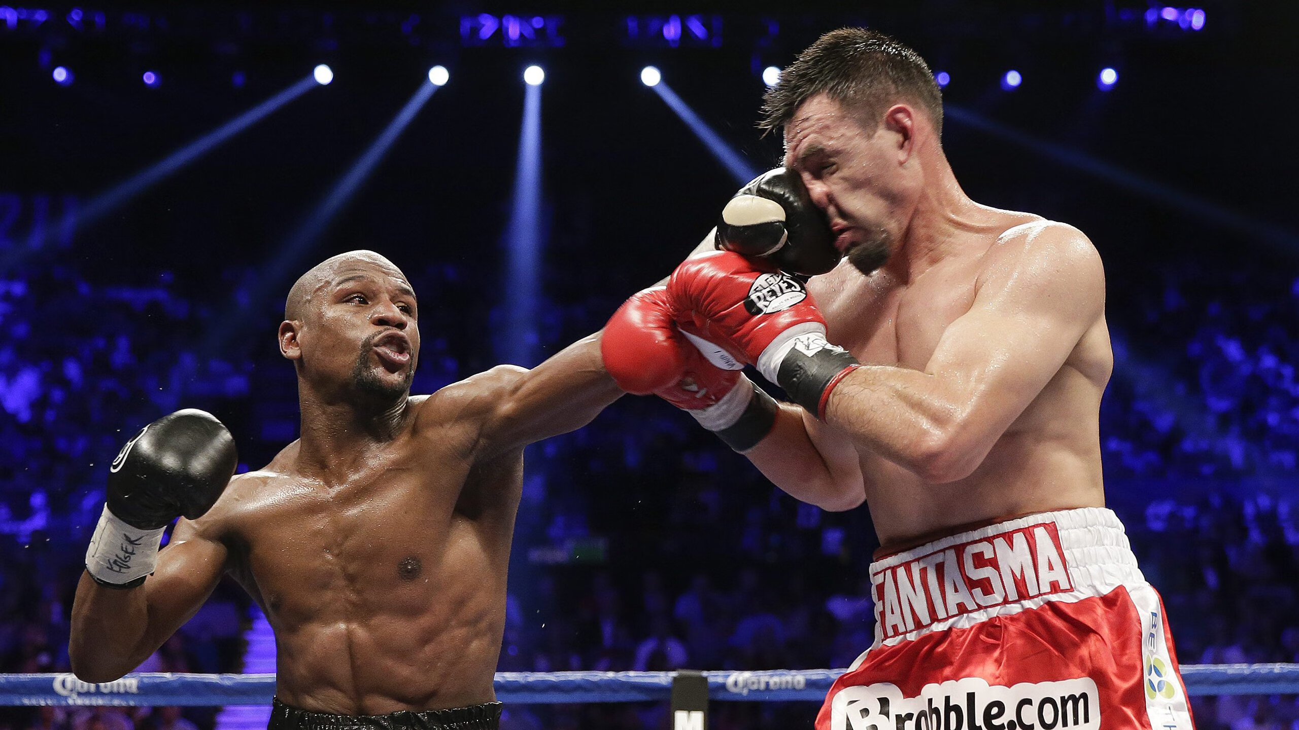 体育博览会展示未来训练理念与设备,体育博览会海报